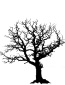 oak-tree-silhouette-with-roots-4T9kz8eTE